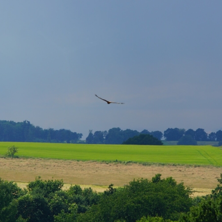 26 D HES VB VB OO 1 DSC08317.jpg